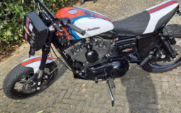 Harley-Davidson – Sportster – 1200 Custom- XL 1200C