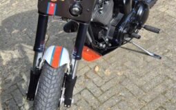 Harley-Davidson – Sportster – 1200 Custom- XL 1200C