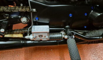 
									Harley-Davidson – Sportster – 1200 Custom- XL 1200C pieno								