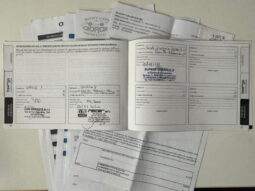 
										LANCIA – Ypsilon – 1.2 69 CV 5 porte GPL Ecochic Silver NEOPATENTATI full									