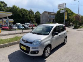 FIAT – Panda –  1.2 Easy