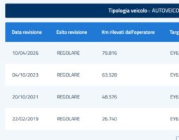 
										LANCIA – Ypsilon – 1.3 MJT 16V 95 CV 5 porte S&S Elefantino full									